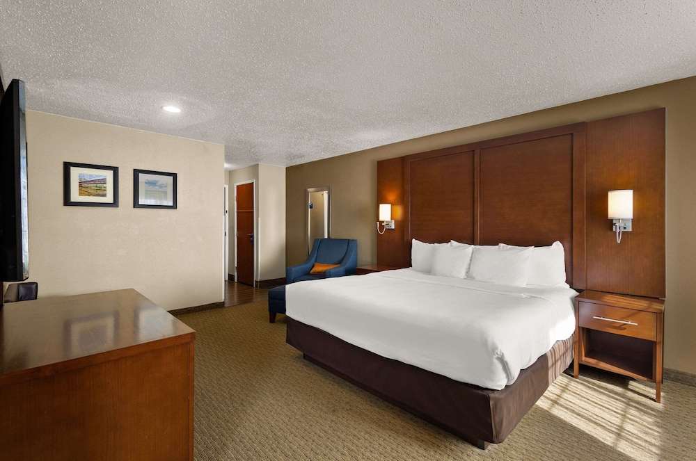 Standard Room, 1 King Bed with Sofa bed, Non Smoking