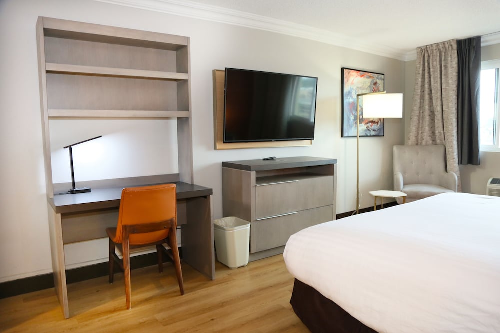 Deluxe Single Room, Non Smoking - Photo 9