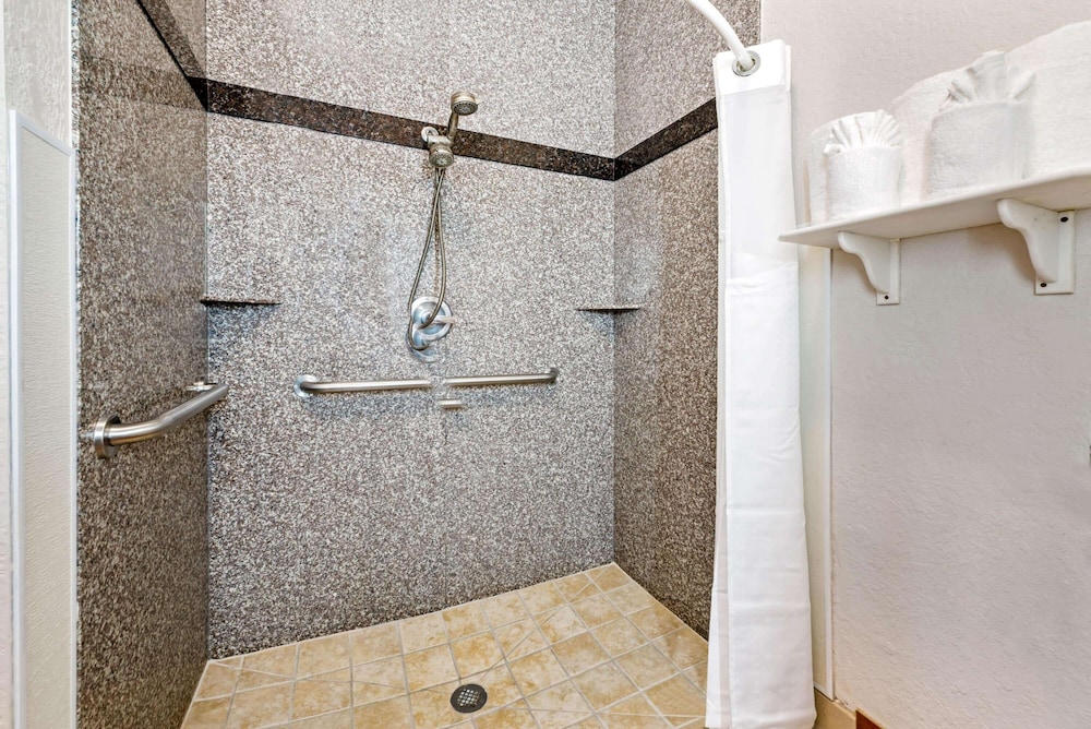 Room, 1 King Bed, Accessible, Non Smoking (Mobility,Roll-In Shower) - Photo 2