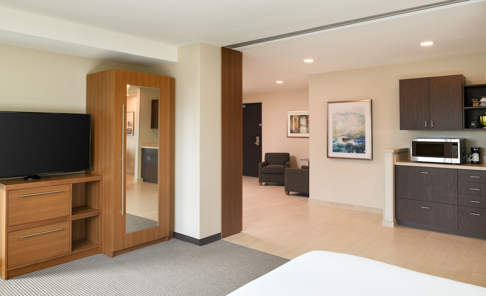 Suite, 1 King Bed with Sofa bed photo 3