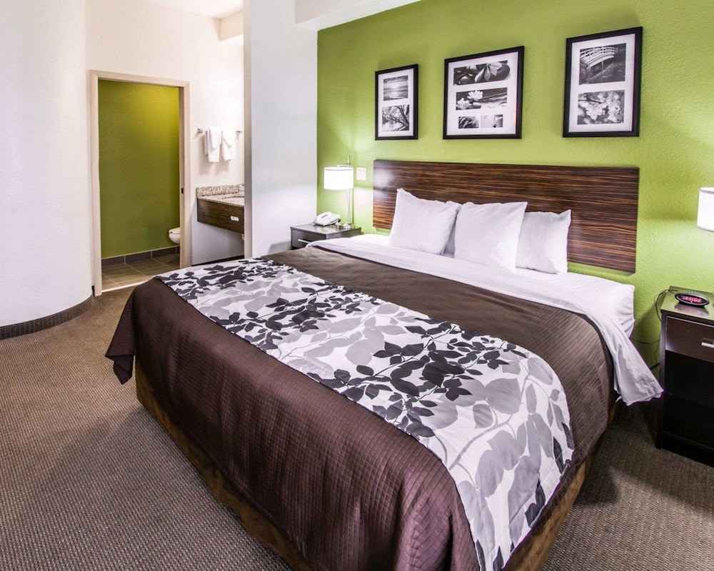 Room, 1 King Bed, Non Smoking (Promotional) - Photo 3