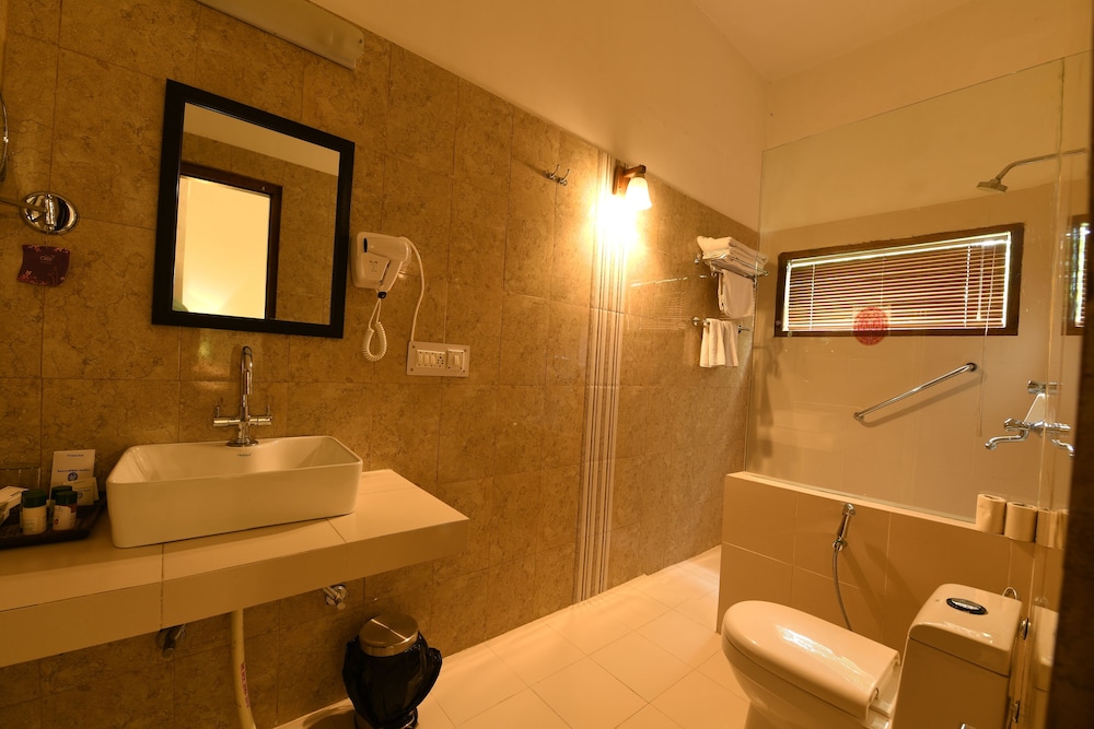 Deluxe Room - Photo 4