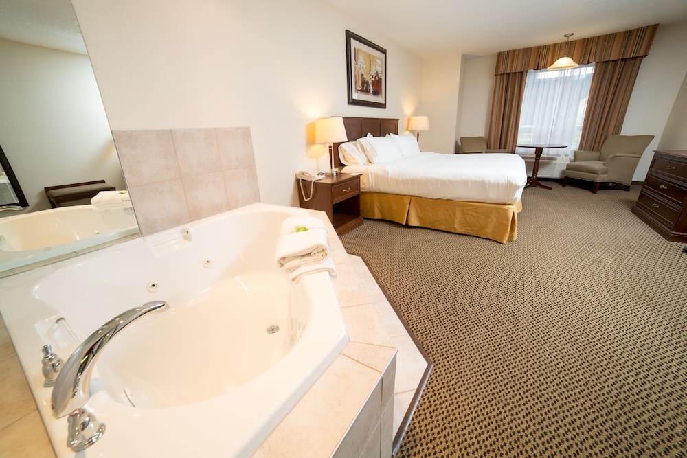 Standard Room, 1 King Bed, Accessible, Jetted Tub photo 3