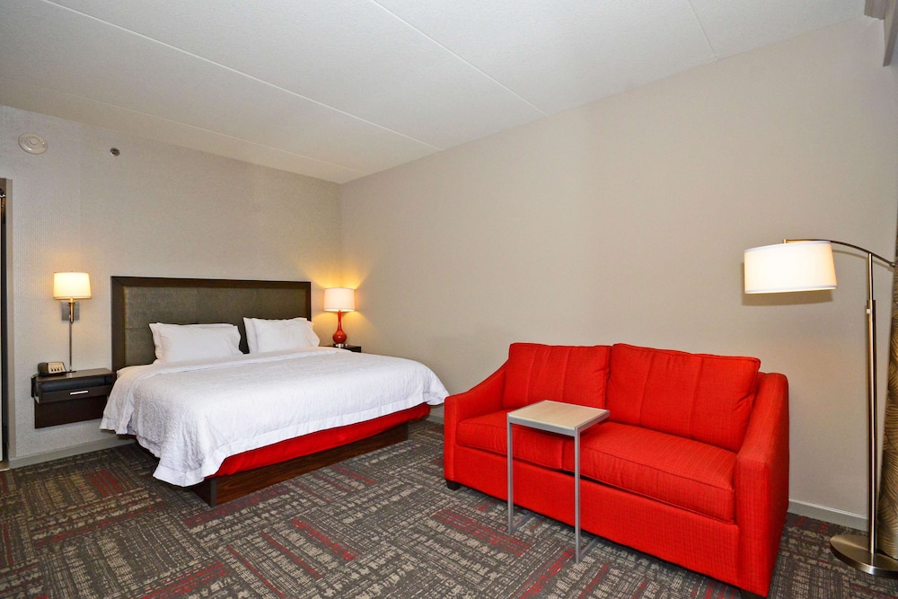 Room, 1 King Bed with Sofa bed, Non Smoking, Refrigerator & Microwave