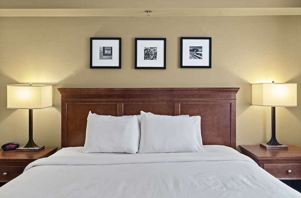 Suite, 1 Bedroom, Non Smoking - Photo 6