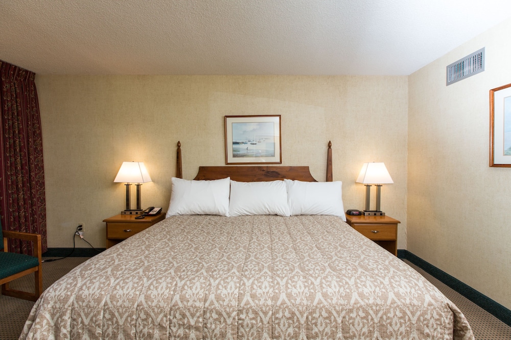 Deluxe Room, 1 King Bed. Pet Availability Limited. Please inform of pets at time of booking. - Photo 3
