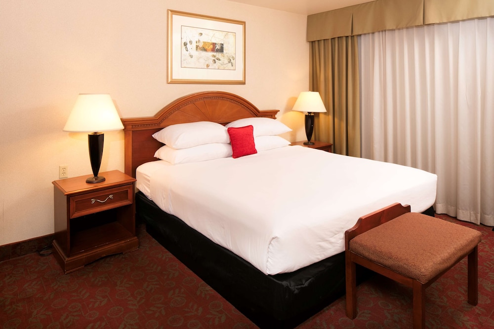 Premium Room, 1 King Bed with Sofa bed, Non Smoking photo 3