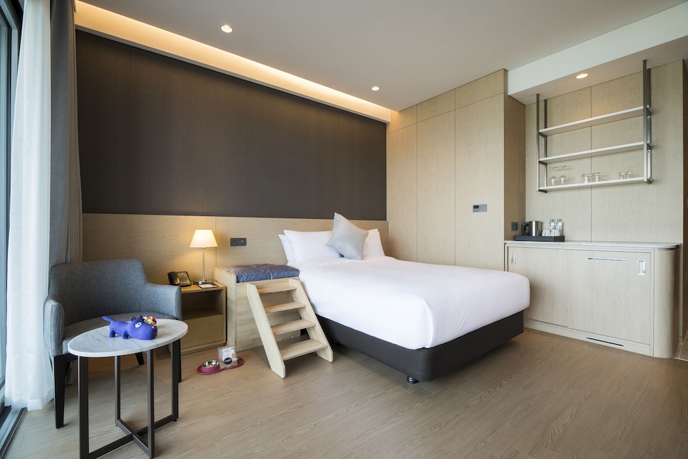 Pet Double Room, No Ocean view