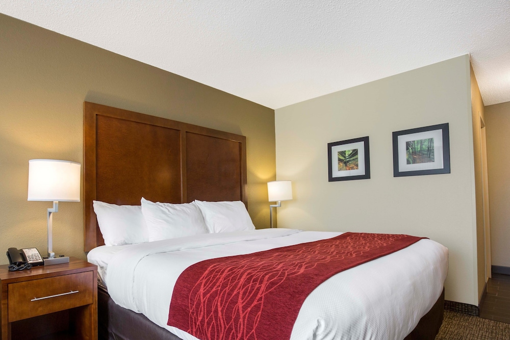 Suite, 1 Queen Bed with Sofa bed, Non Smoking - Photo 8