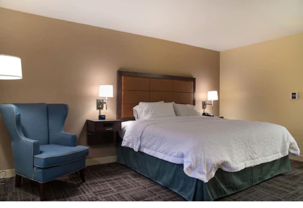Room, 1 King Bed, Accessible (Hearing) photo 2