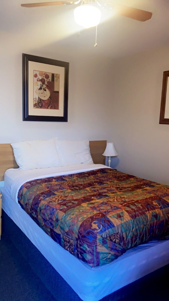 Basic Single Room photo 1