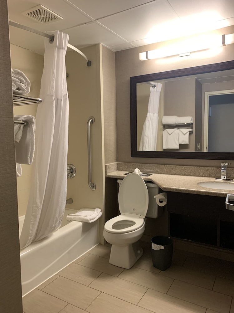 Suite, 1 King Bed