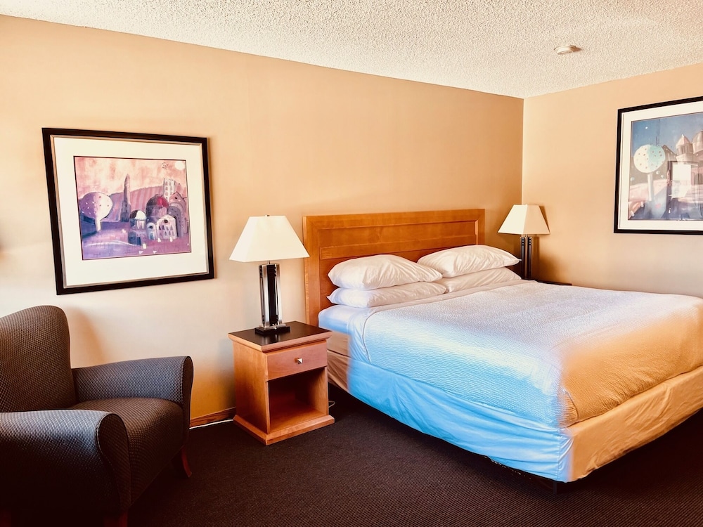 Business Room, 1 King Bed photo 1