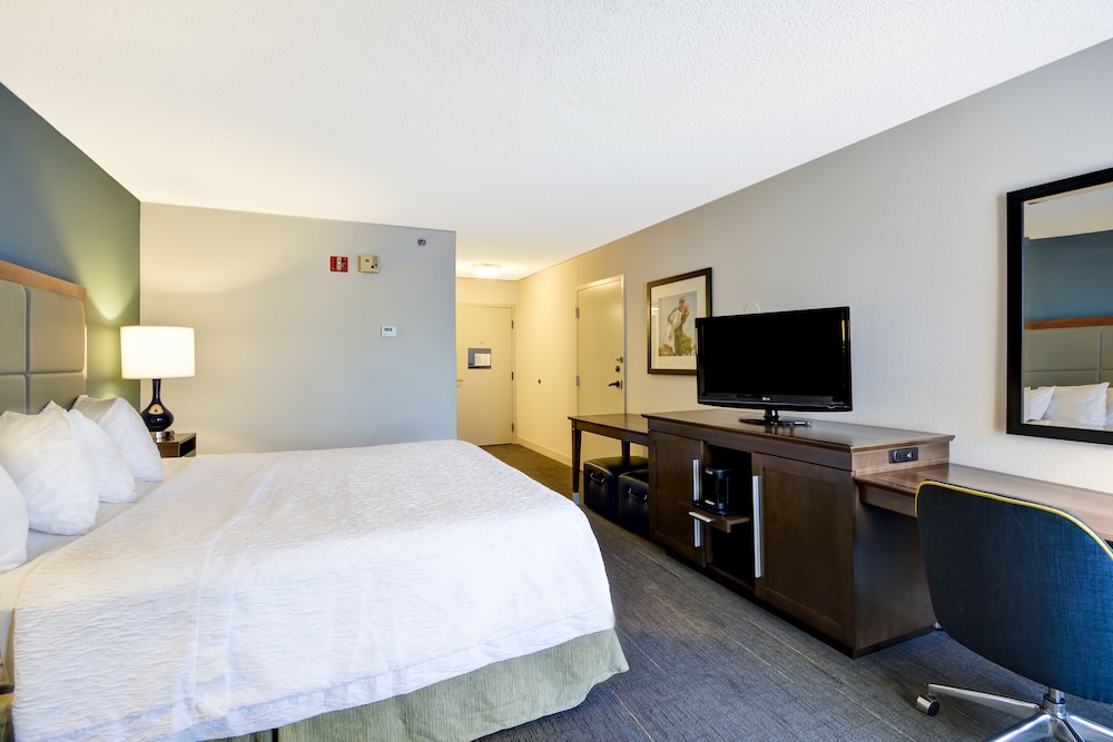 Room, 1 King Bed, Accessible, Bathtub (Hearing) - Photo 1