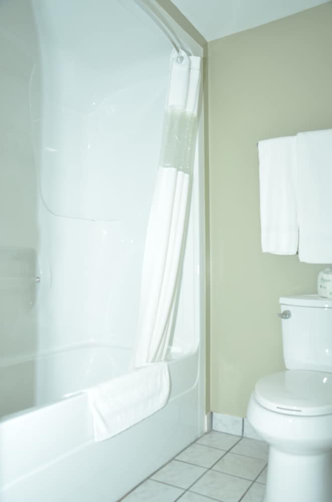 Room, 1 King Bed, Non Smoking (Pet Friendly) - Photo 13