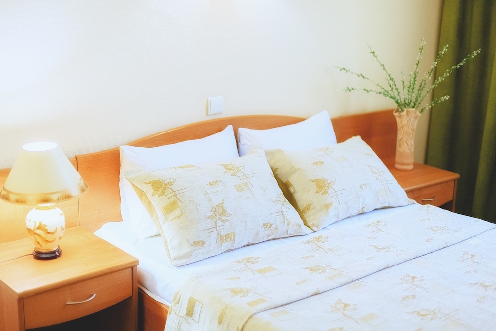 Business Single Room photo 2