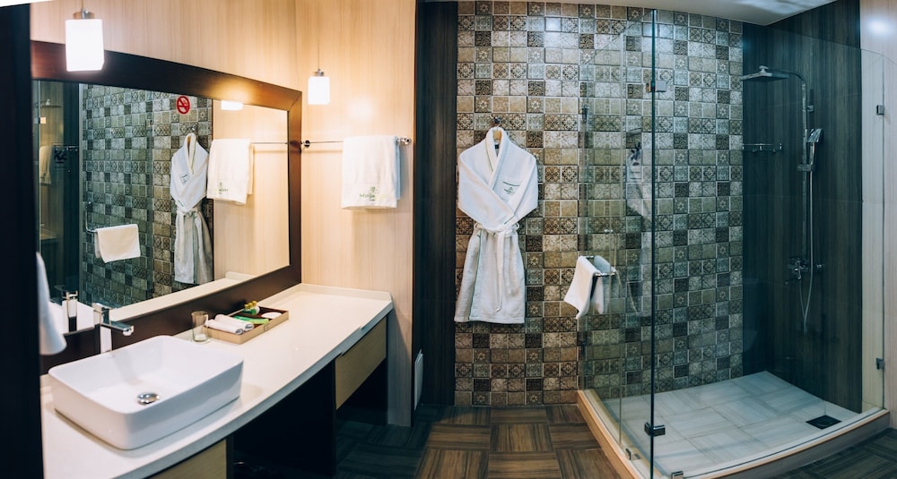 Deluxe Double or Twin Room - Photo 9