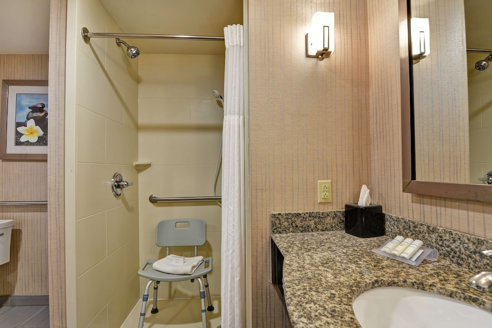Room, 1 King Bed with Sofa bed, Accessible (Roll In Shower) photo 3