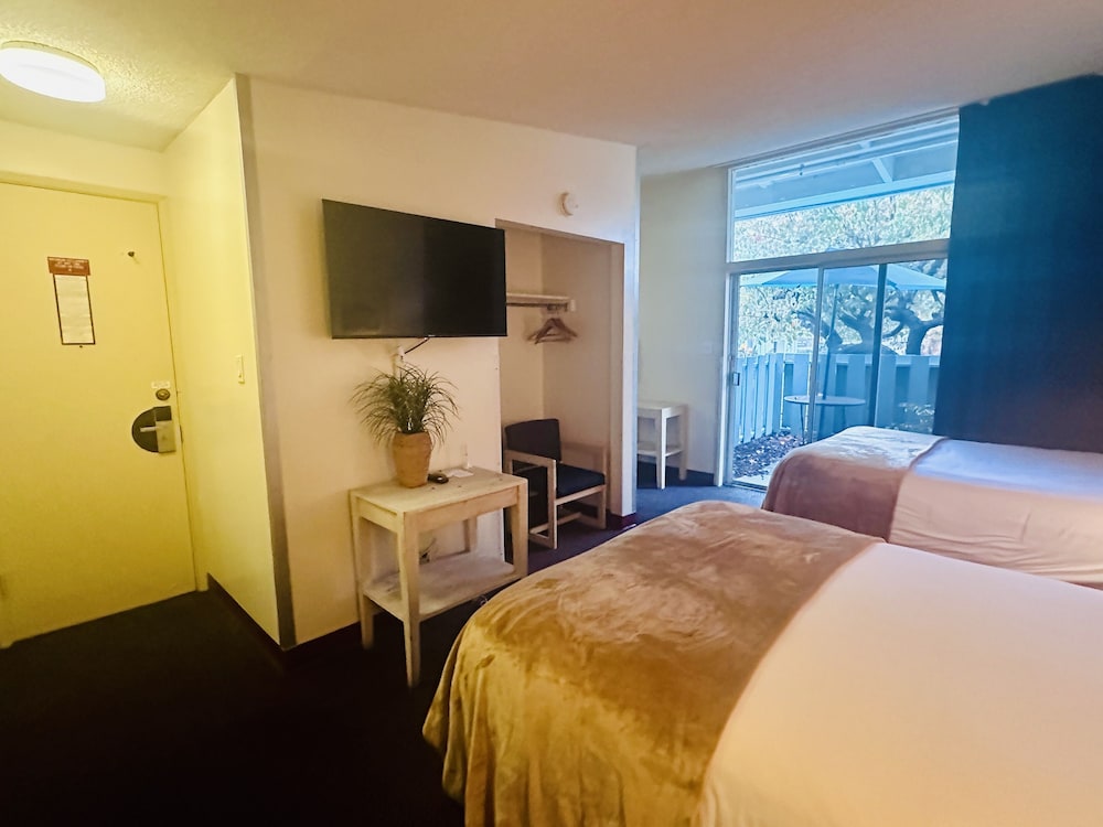 Economy Room, 2 Double Beds, Patio, Garden View photo 2