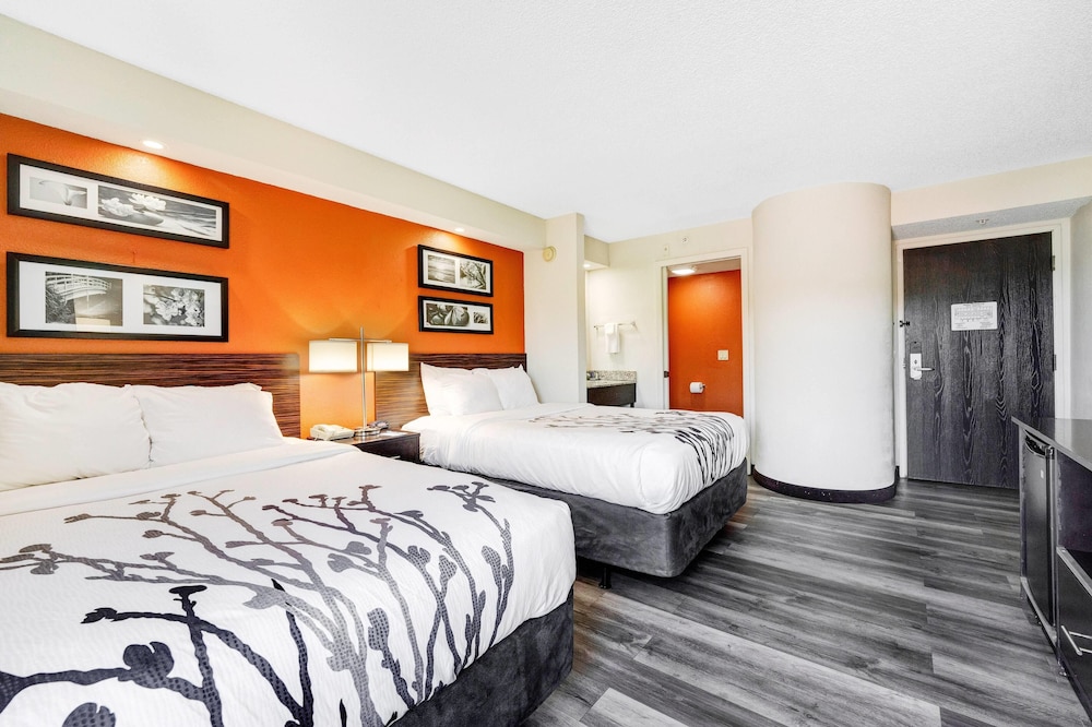 Room, 1 Double Bed, Mobility Accessible, Non Smoking (Mobility, Roll-in Shower)