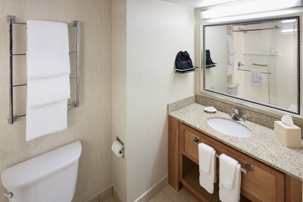 Studio, 1 King Bed with Sofa bed, Balcony (Mobility/Hearing Accessible, Tub) - Photo 4