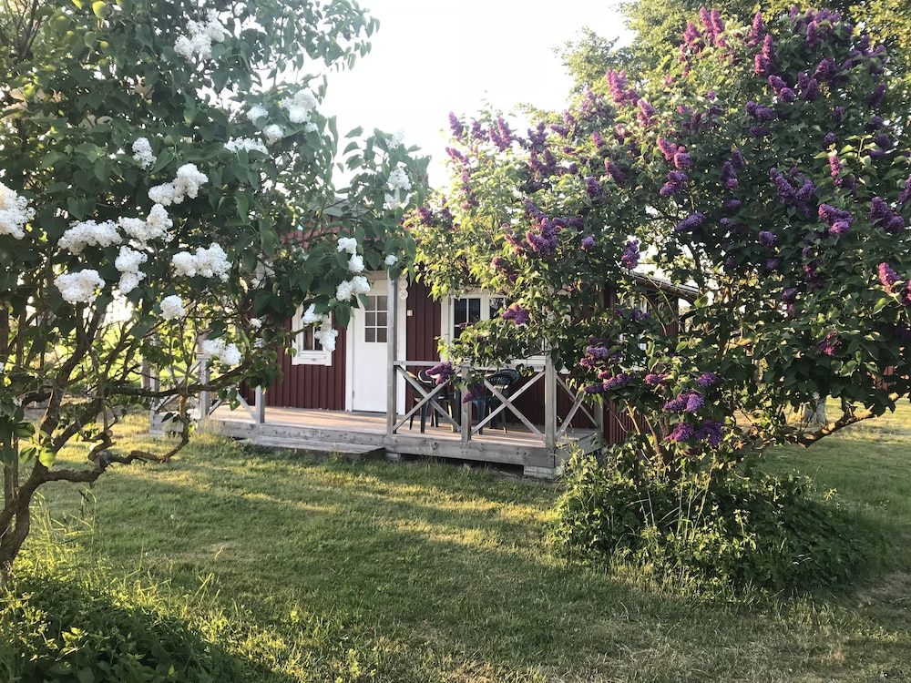 Family Cabin photo 2