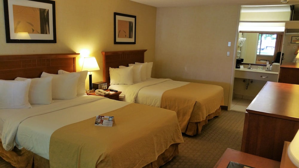 Executive Room, 2 Queen Beds, Non Smoking, Courtyard Area - Photo 4