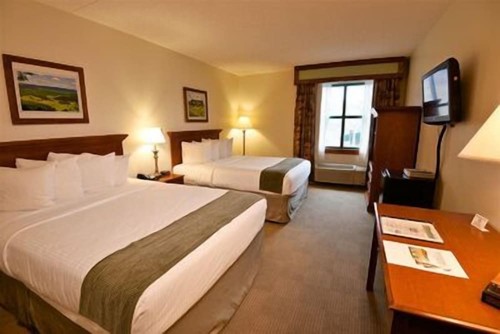 Single Room, 2 Queen Beds photo 2