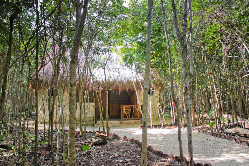 Cabin (Brillo de Luna) photo 3