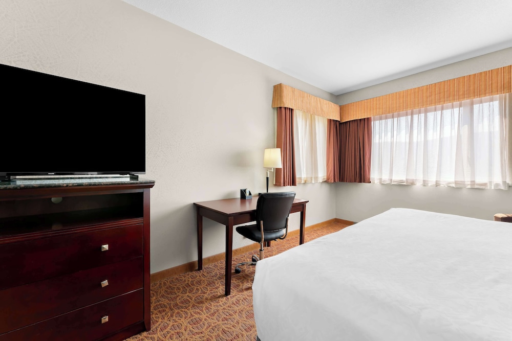 Standard Room, 1 Queen Bed, Non Smoking, Refrigerator & Microwave (Pet Friendly;with Sofabed) - Photo 2