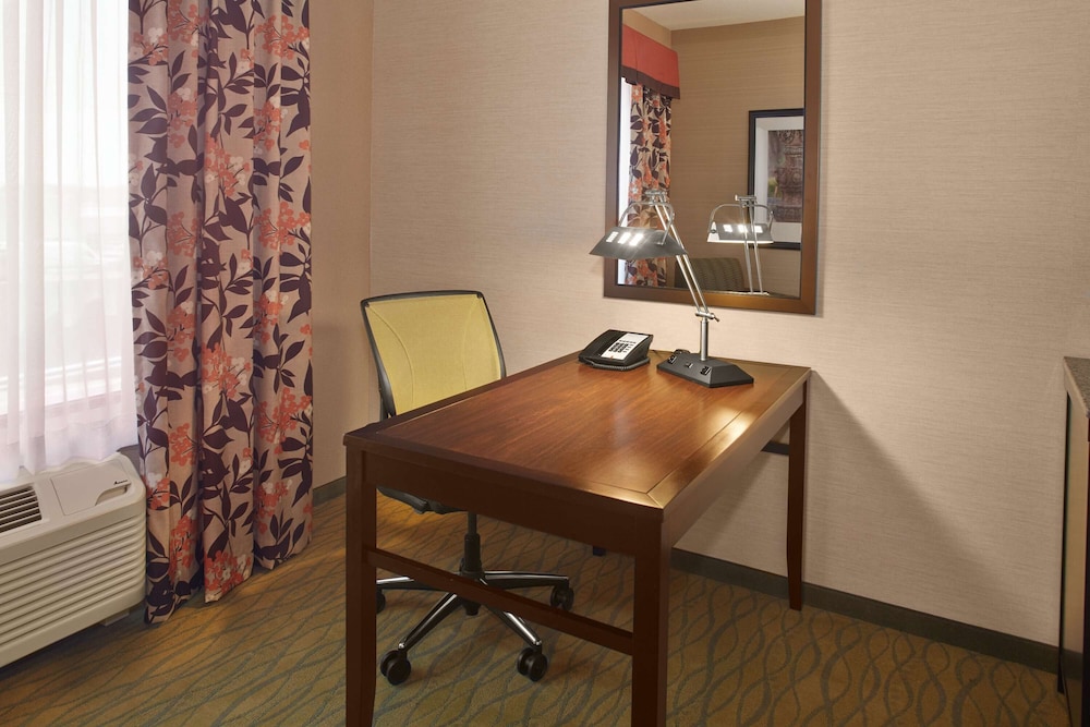 Room, 1 King Bed, Refrigerator & Microwave (With Shower, Drinks-Snacks) photo 3