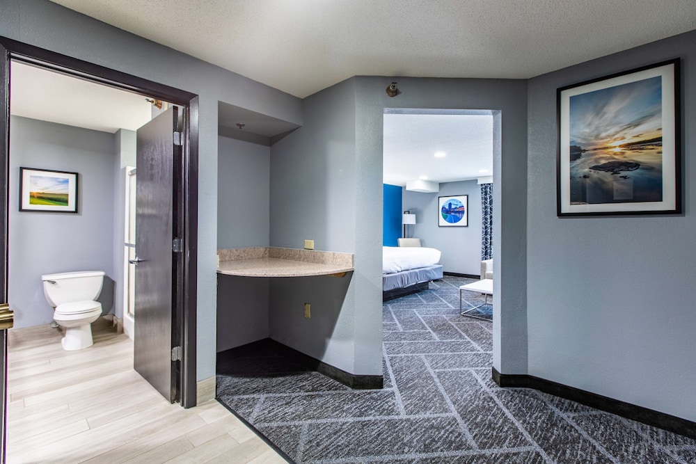 Executive Room, 1 King Bed, Non Smoking, Refrigerator & Microwave (Shower Only;with Single Sofabed) - Photo 3