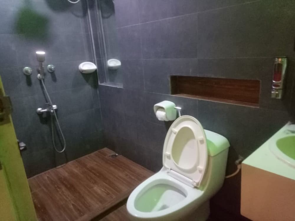 Deluxe Double or Twin Room, 1 Bedroom, Private Bathroom photo 2