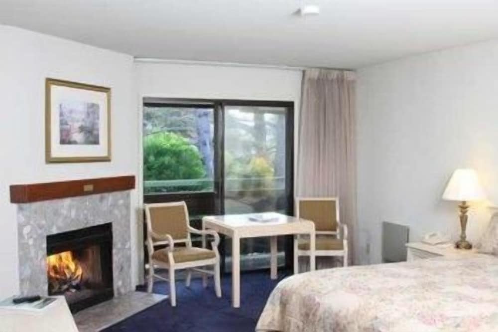 Suite, 1 Bedroom - Photo 2
