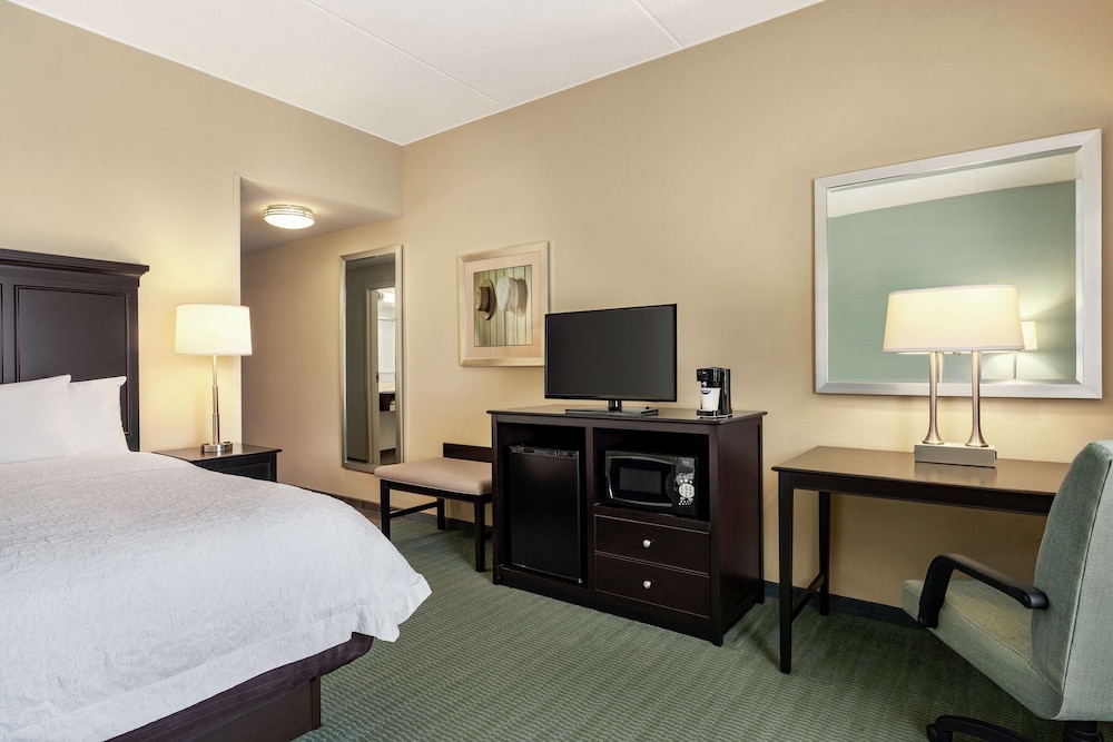 Room, 1 King Bed with Sofa bed, Non Smoking (With Tub) at Hampton Inn & Suites Mount Joy/Lancaster West, Pa in Manheim
