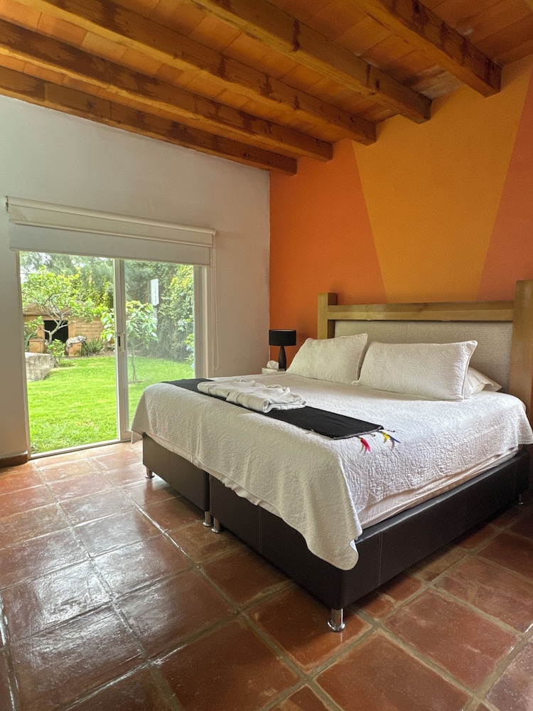 Junior Room, Garden View