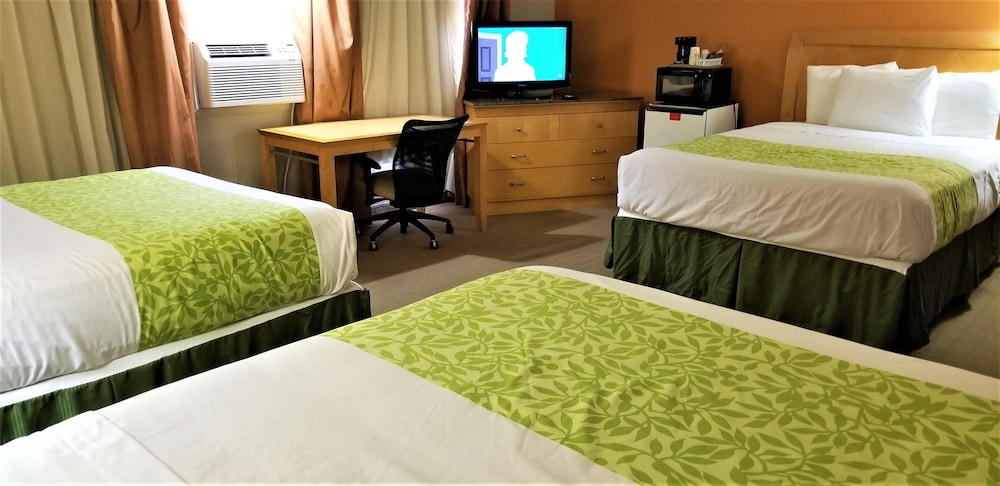 Family Room, Multiple Beds