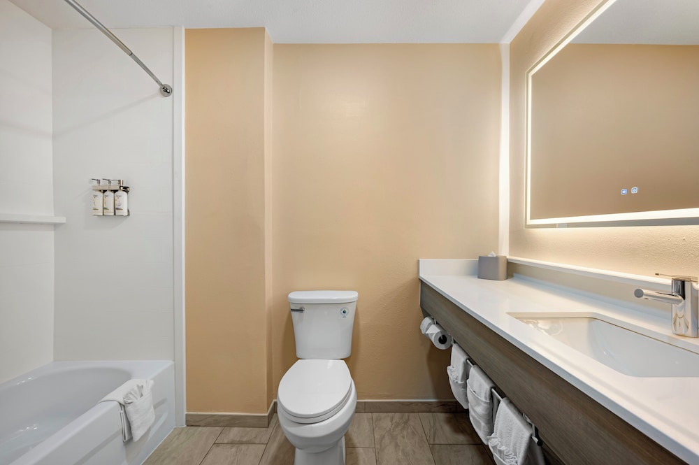 Standard Room, 1 King Bed with Sofa bed, Accessible Bathtub (Mobility) - Photo 5