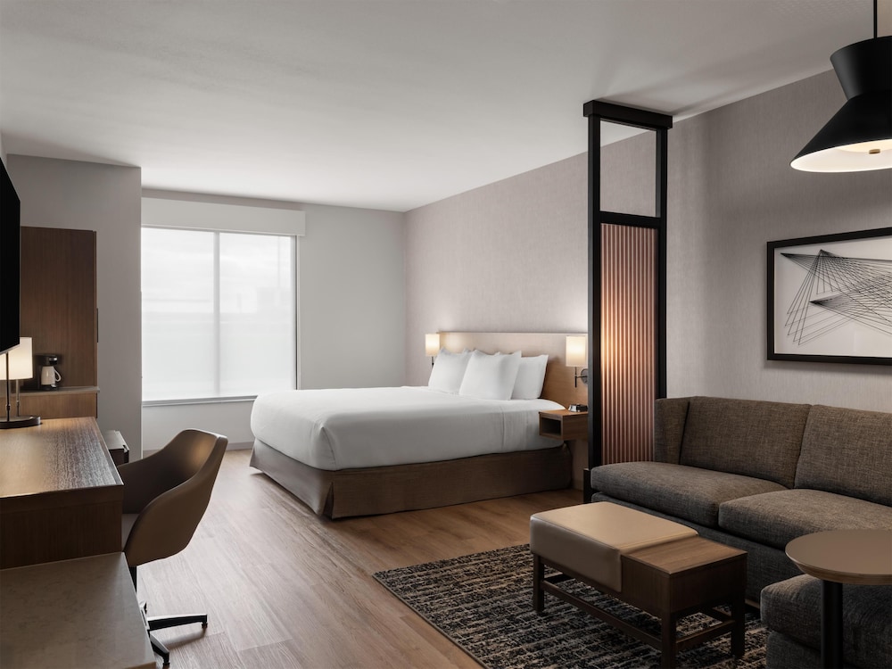 Room, 1 King Bed with Sofa bed (High Floor)