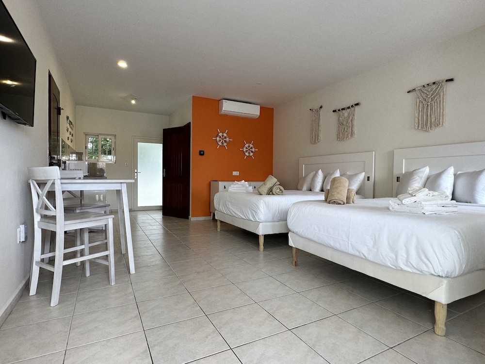 Luxury Apartment