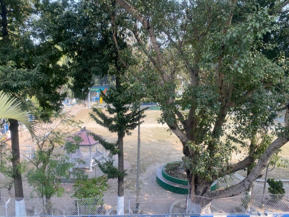 Deluxe Double Room, Park View photo 2