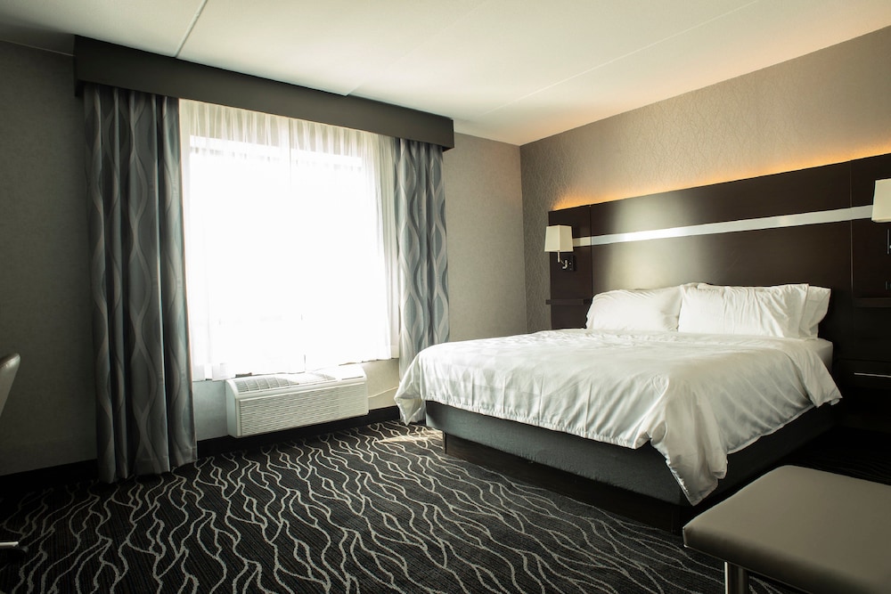 Suite, 1 King Bed photo 2