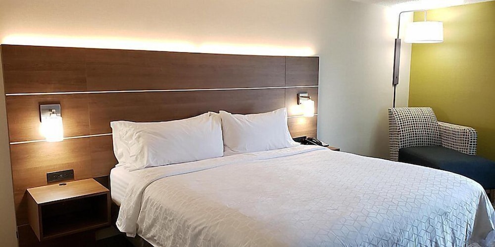 Standard Room, 1 King Bed, Accessible (Comm, Accessible Tub) - Photo 6