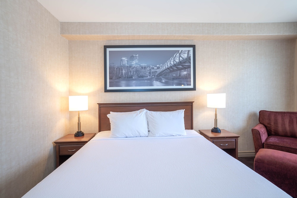 Standard Room, 1 King Bed, Accessible
