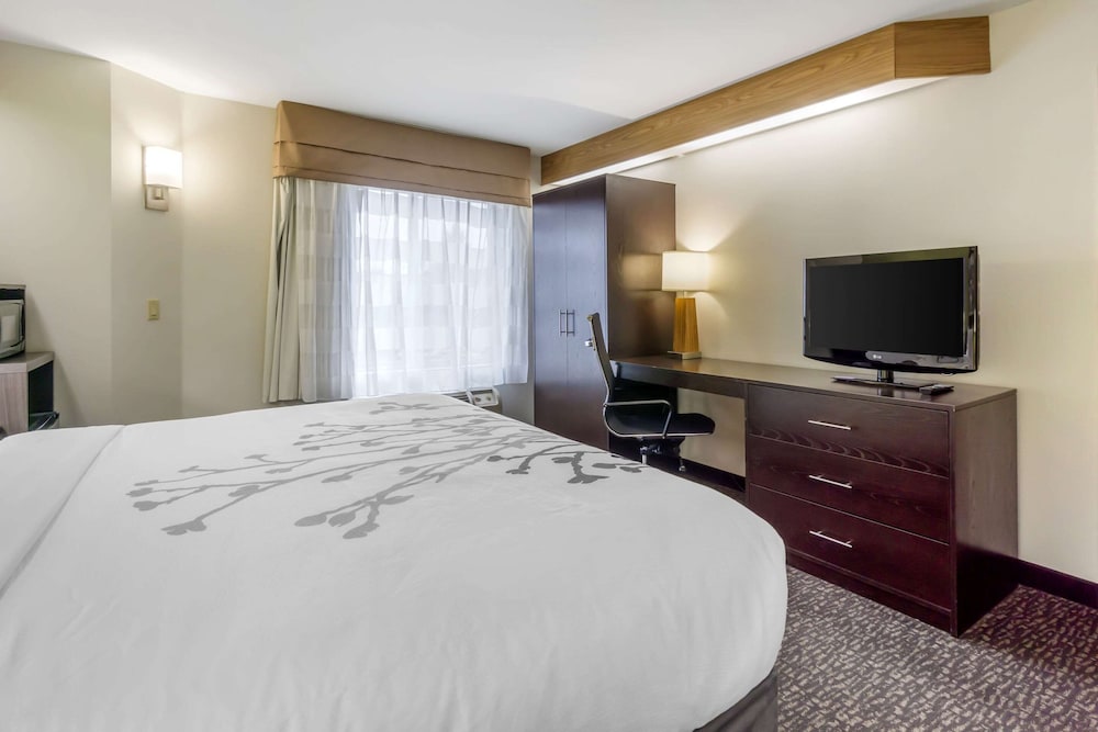 Standard Room, 1 King Bed, Non-Smoking, Refrigerator & Microwave - Photo 3