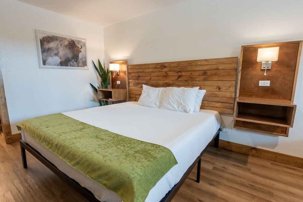 Deluxe Single Room, 1 King Bed photo 3