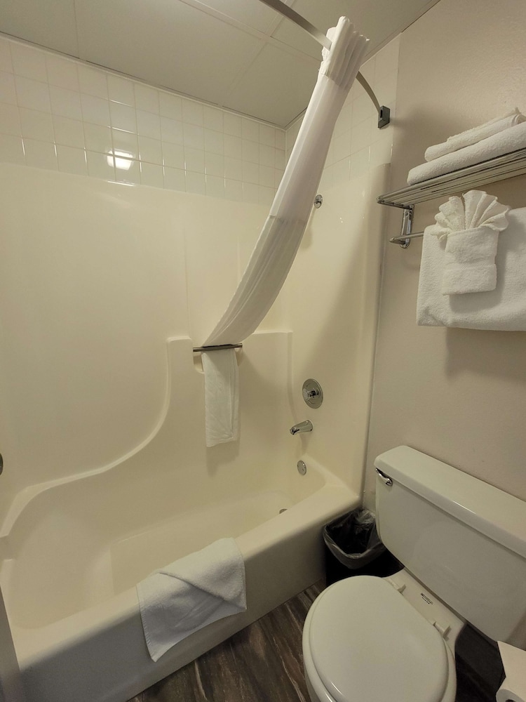 Standard Room, Multiple Beds, Non Smoking, Refrigerator & Microwave - Photo 4