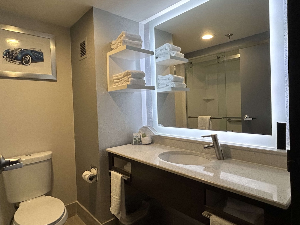 Executive Room, 1 King Bed, Non Smoking, Refrigerator & Microwave (Shower Only) - Photo 2