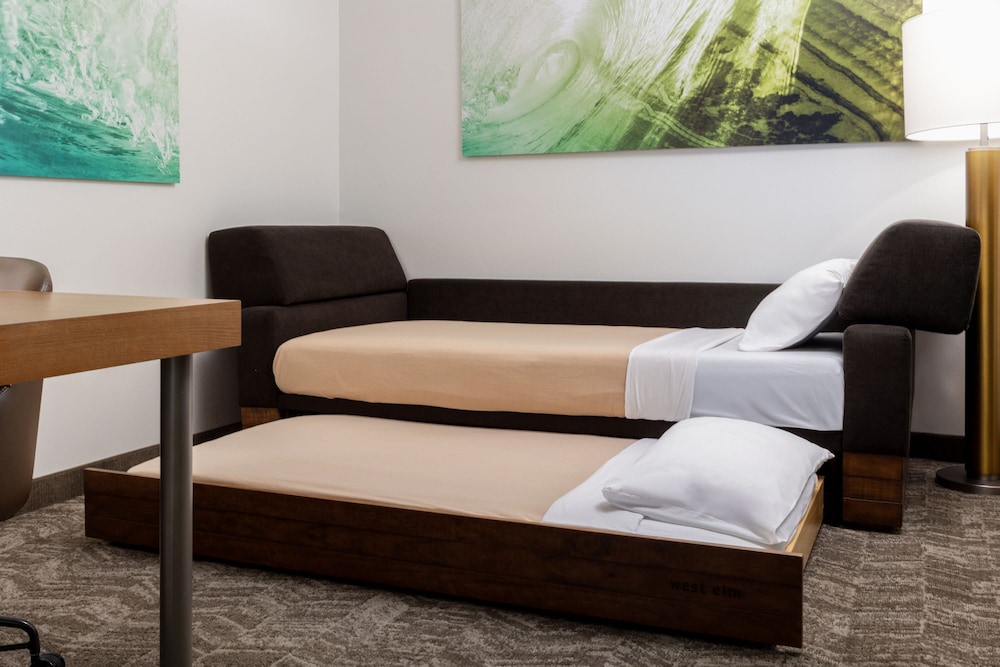 Suite, 1 King Bed with Sofa bed