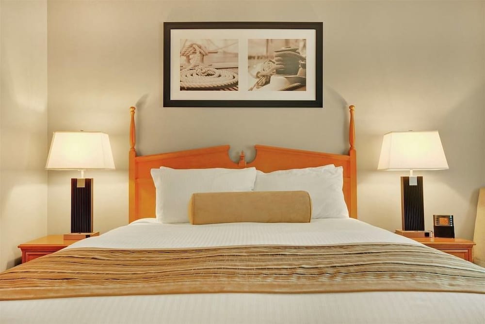 Deluxe Room photo 1